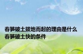 春笋破土拔地而起的理由是什么 春笋破土快的条件