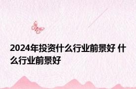 2024年投资什么行业前景好 什么行业前景好