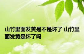 山竹里面发黄是不是坏了 山竹里面发黄是坏了吗
