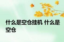 什么是空仓挂机 什么是空仓