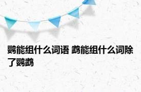 鹦能组什么词语 鹉能组什么词除了鹦鹉
