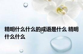 精明什么什么的成语是什么 精明什么什么 