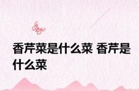 香芹菜是什么菜 香芹是什么菜