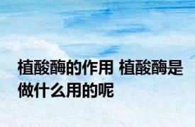 植酸酶的作用 植酸酶是做什么用的呢
