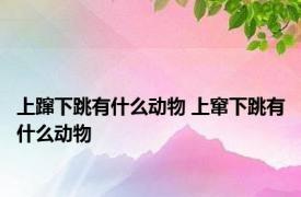 上蹿下跳有什么动物 上窜下跳有什么动物