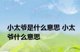小太爷是什么意思 小太爷什么意思
