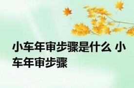 小车年审步骤是什么 小车年审步骤