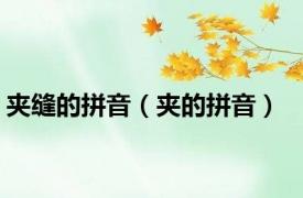 夹缝的拼音（夹的拼音）