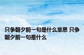 只争朝夕前一句是什么意思 只争朝夕前一句是什么