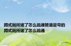 蹲式厕所堵了怎么疏通管道是弯的 蹲式厕所堵了怎么疏通