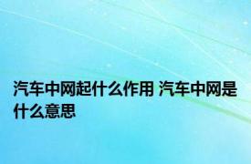 汽车中网起什么作用 汽车中网是什么意思