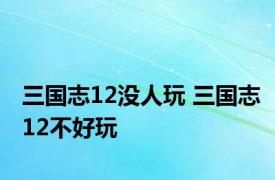 三国志12没人玩 三国志12不好玩 