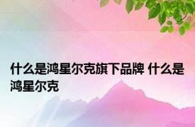 什么是鸿星尔克旗下品牌 什么是鸿星尔克