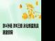 浙A孙杨 浙B汪顺 泳坛新星挑战速度极限