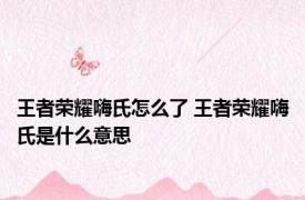 王者荣耀嗨氏怎么了 王者荣耀嗨氏是什么意思