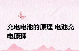 充电电池的原理 电池充电原理
