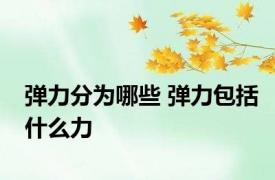 弹力分为哪些 弹力包括什么力