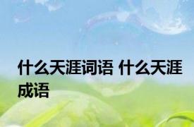 什么天涯词语 什么天涯成语