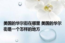 美国的华尔街在哪里 美国的华尔街是一个怎样的地方