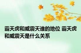 霸天虎和威震天谁的地位 霸天虎和威震天是什么关系