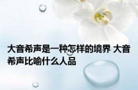 大音希声是一种怎样的境界 大音希声比喻什么人品