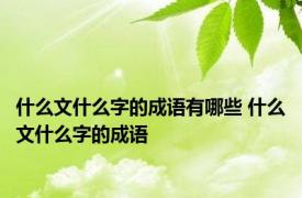 什么文什么字的成语有哪些 什么文什么字的成语