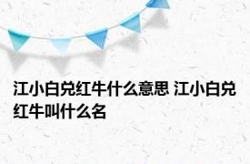 江小白兑红牛什么意思 江小白兑红牛叫什么名