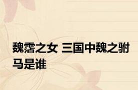 魏霑之女 三国中魏之驸马是谁