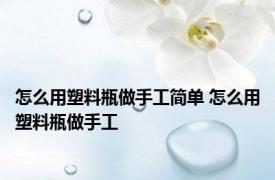 怎么用塑料瓶做手工简单 怎么用塑料瓶做手工