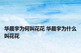 华晨宇为何叫花花 华晨宇为什么叫花花