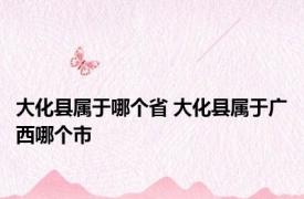 大化县属于哪个省 大化县属于广西哪个市