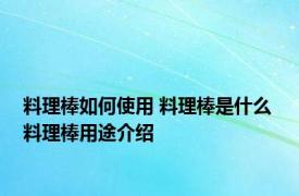 料理棒如何使用 料理棒是什么 料理棒用途介绍