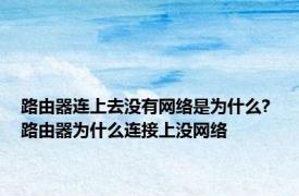 路由器连上去没有网络是为什么? 路由器为什么连接上没网络