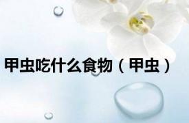 甲虫吃什么食物（甲虫）