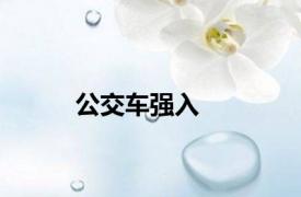 公交车强入