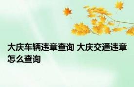 大庆车辆违章查询 大庆交通违章怎么查询