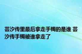 芸汐传里最后拿走手镯的是谁 芸汐传手镯被谁拿走了