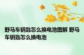 野马车钥匙怎么换电池图解 野马车钥匙怎么换电池