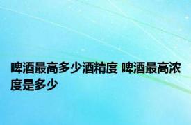 啤酒最高多少酒精度 啤酒最高浓度是多少