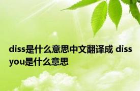diss是什么意思中文翻译成 dissyou是什么意思