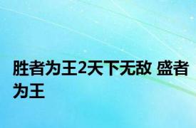 胜者为王2天下无敌 盛者为王 