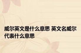 威尔英文是什么意思 英文名威尔代表什么意思