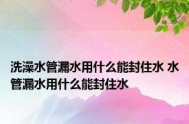 洗澡水管漏水用什么能封住水 水管漏水用什么能封住水