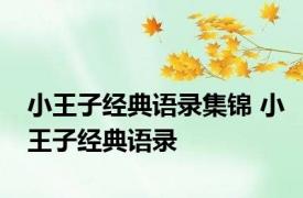 小王子经典语录集锦 小王子经典语录