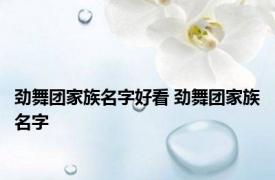 劲舞团家族名字好看 劲舞团家族名字 