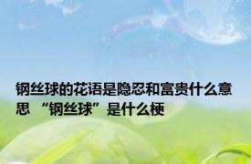 钢丝球的花语是隐忍和富贵什么意思 “钢丝球”是什么梗