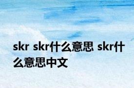 skr skr什么意思 skr什么意思中文