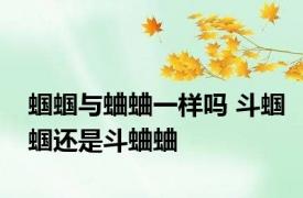 蝈蝈与蛐蛐一样吗 斗蝈蝈还是斗蛐蛐