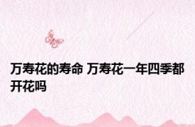 万寿花的寿命 万寿花一年四季都开花吗