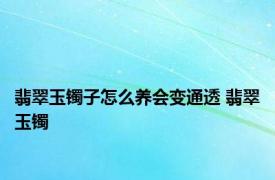 翡翠玉镯子怎么养会变通透 翡翠玉镯 